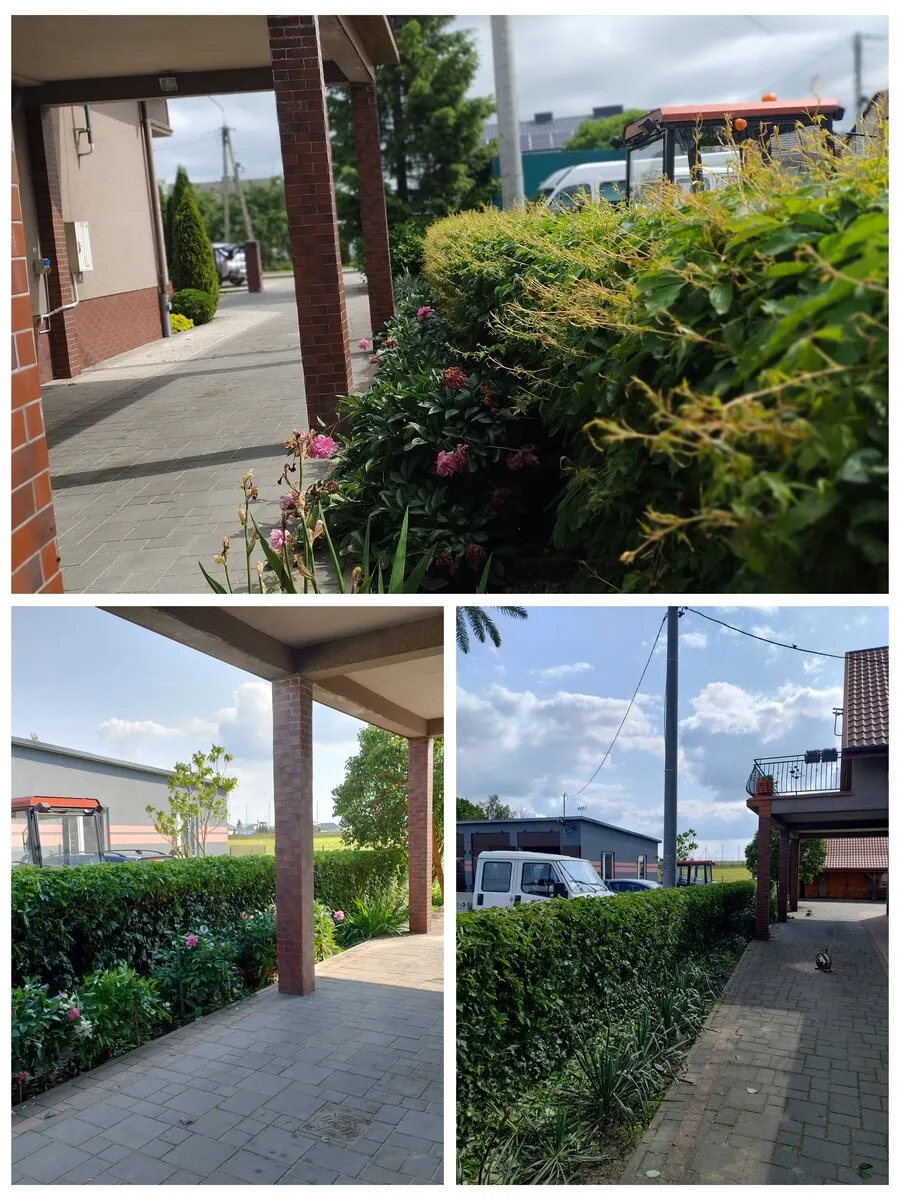 Taille de haies et entretien de jardin dans le Vaucluse